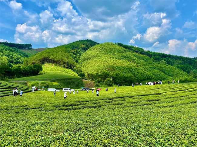 Đánh thức tiềm năng du lịch nông thôn ở Đình Lập, Lạng Sơn (29/05/2024)